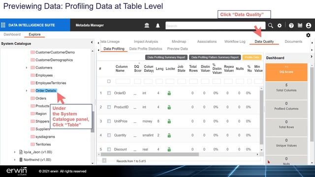 Metadata Manage-Previewing and Profiling Data v11 смотреть онлайн