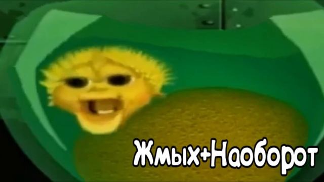 рыба фугу поёт - Все Виды