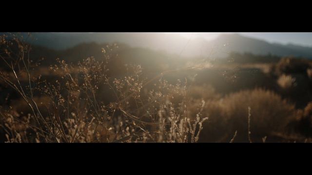 Stand in Your Love | Without Words : Genesis смотреть онлайн