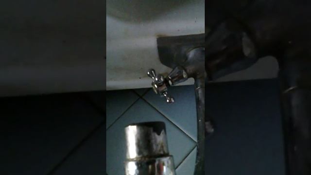 Вызываем Чарли демона смотреть онлайн