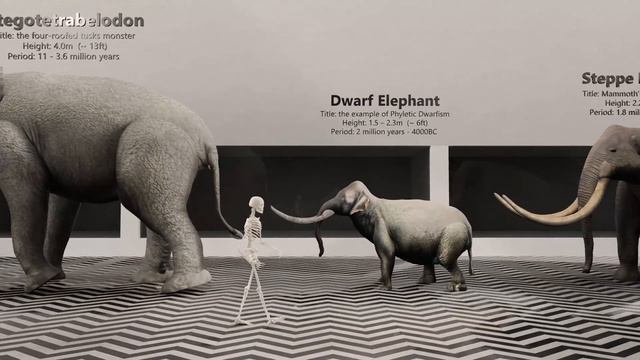 Evolution of Elephants in 3D - The fascinating from 60 million years ago. смотреть онлайн