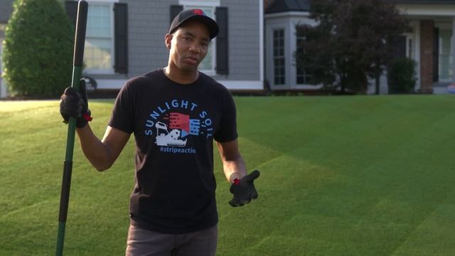 LEVELING a BUMPY LAWN with SOIL and SAND смотреть онлайн