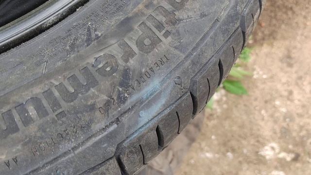 195 55 15 85H Continental Conti Premium Contact 5 Russia 280 AA A 4317