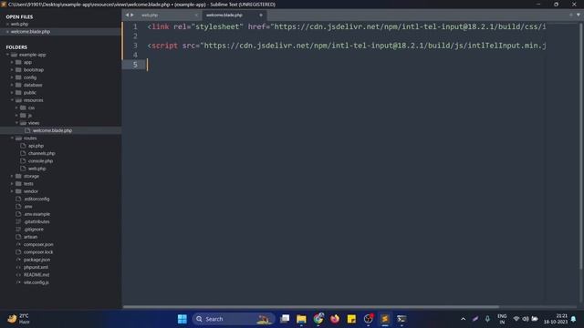 how to use intl tel input for International Telephone Input in Laravel Project смотреть онлайн