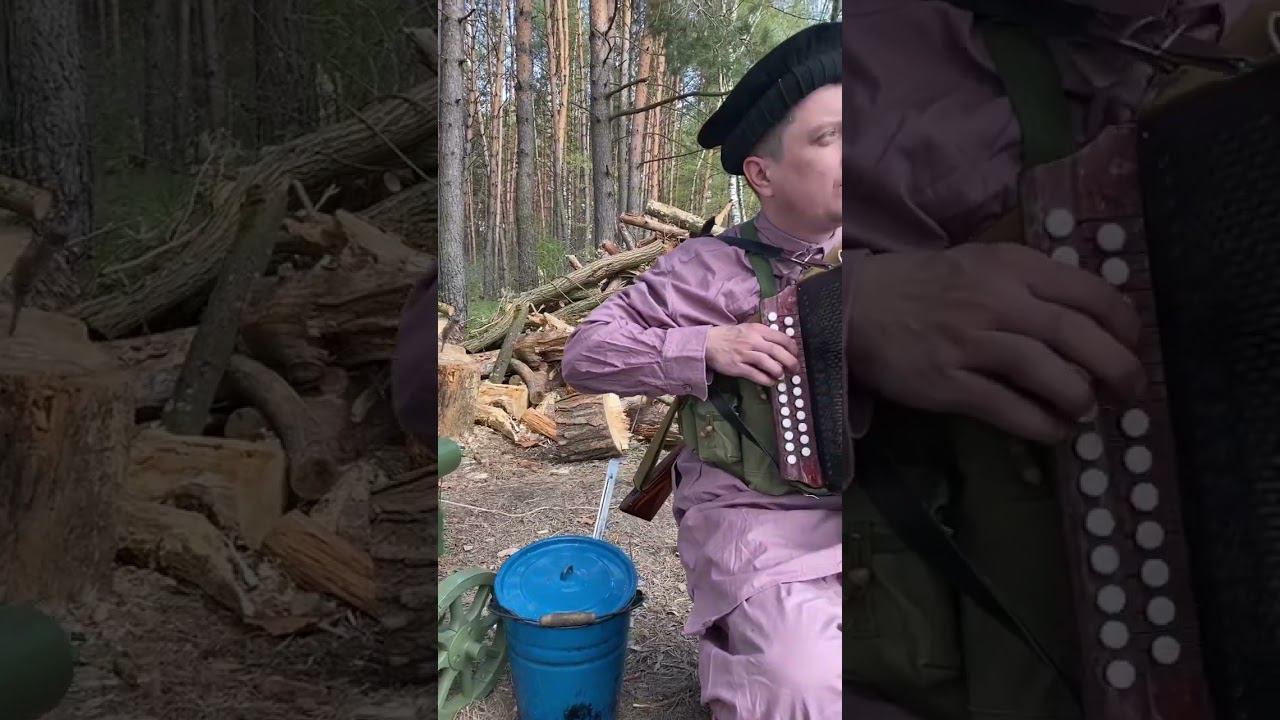 Душман играет на гармошке, видели такое? смотреть онлайн