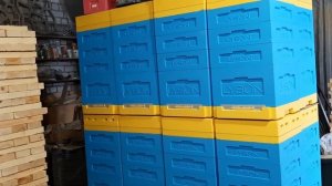 Улья Лысонь , срвнение