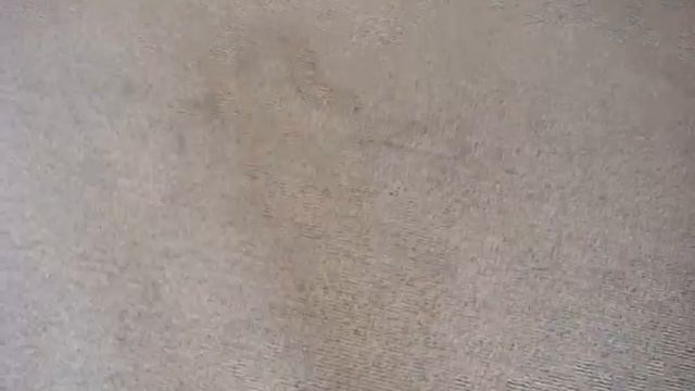 23 Redunca Place, Moggill (4 of 10) смотреть онлайн