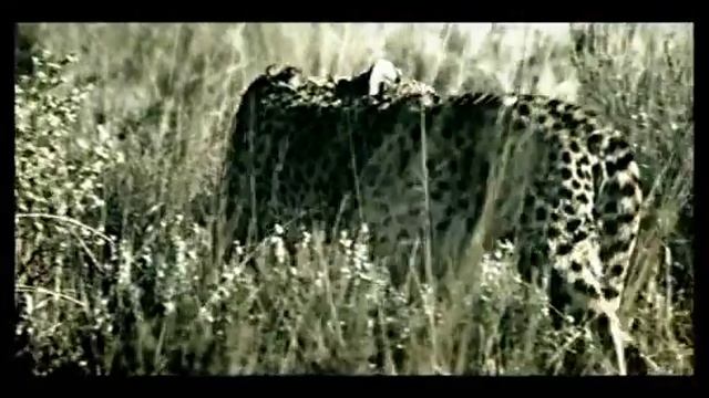 CANON EOS-40D 六十秒電視廣告 смотреть онлайн