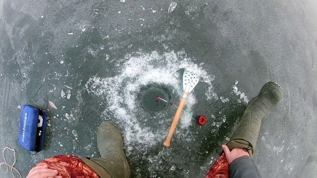 Зимняя рыбалка.плотва позирует перед камерой. смотреть онлайн