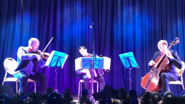 Трио «Ощущения» Trio Sensations Домашний кот A House Cat