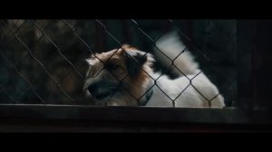 Лесси. Лохматый детектив   Трейлер
