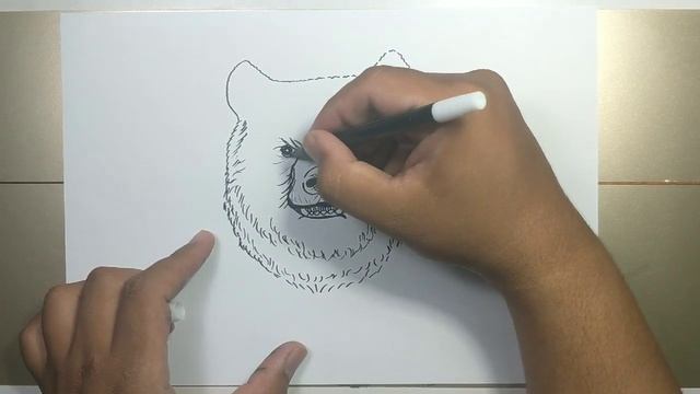 How to draw BEAR HEAD in 5 minutes смотреть онлайн
