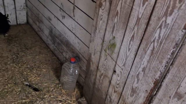 что накупил? чем буду обрабатывать? смотреть онлайн