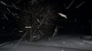 Метель  Звуки природы  Живая картина  Шум ветра  Снежная буря