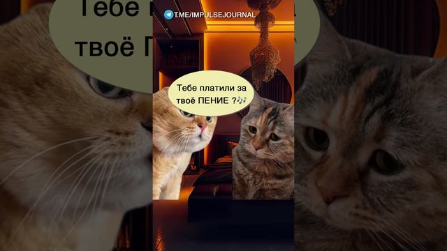Схема заработка #мыкотики #разговор #анекдот #шутки #коты #юмор #смешное #прикольно #мемы #cat смотреть онлайн