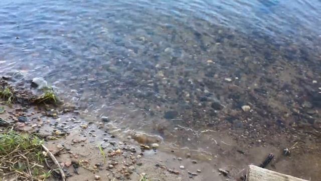 Любовь моя, мой Селигер! смотреть онлайн