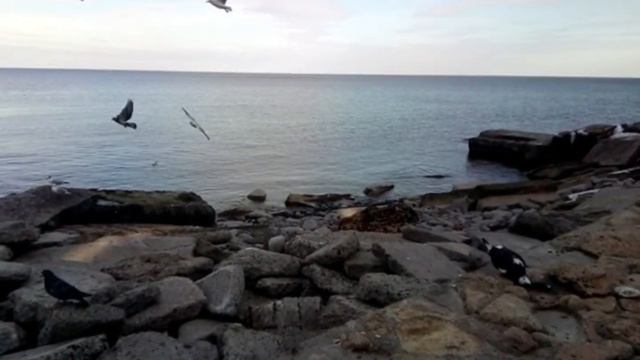 Odessa Beaches now.#Relaxing Black Sea. 2023. 32 13 02 23 Такое вот соседство. 🍂🍂 смотреть онлайн