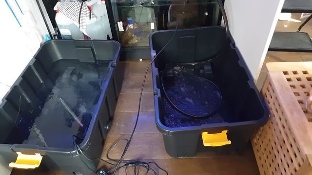 Reef Tank Basics Episode 1: Pros & Cons of Big and Small Tanks смотреть онлайн