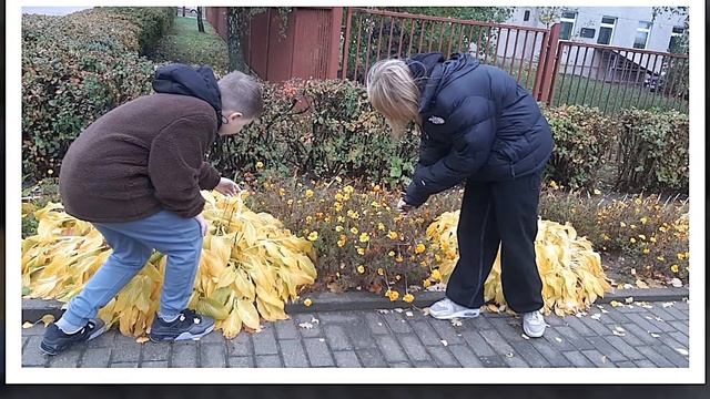 Патриотический марафон "А что ТЫ сделал для Беларуси?", Гимназия № 7 г. Гродно смотреть онлайн