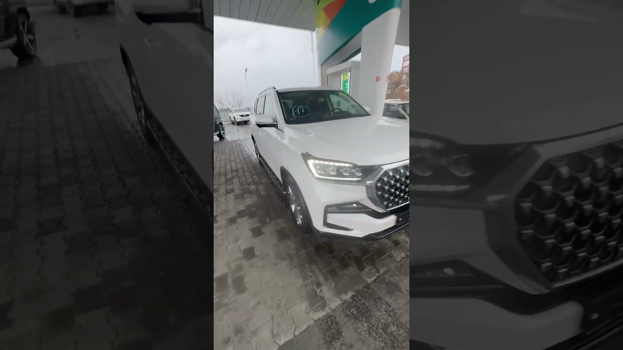 Rexton 2020 года смотреть онлайн