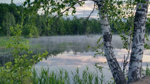 Со Святою Троицей! Борис Осипенко, Христианские Автор видео Нина Рудакова смотреть онлайн