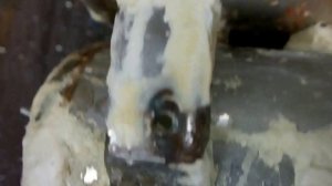 Timberk SWH FS4 50 H