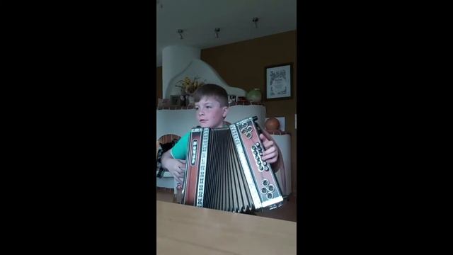 Harmonikaklasse Mag. Ludwig Gruber - Am Hausberg - Jonas Hasenberger смотреть онлайн