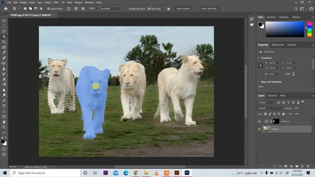 How to use Object Finder in Adobe Photoshop 2022 | Object Selection Tool смотреть онлайн