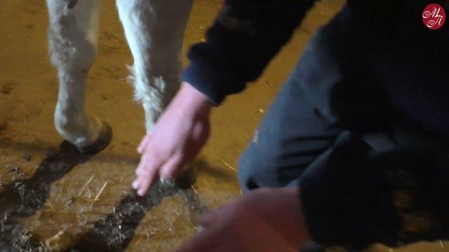 Где отдохнуть с детьми в Краснодаре. Курс на юг. Станица Северская. смотреть онлайн