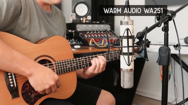 Telefunken TF51 Vs Warm Audio WA-251 смотреть онлайн