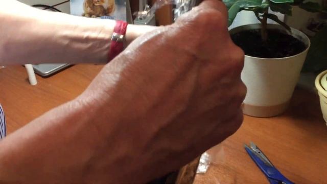 Чехол для лыж с Озона смотреть онлайн