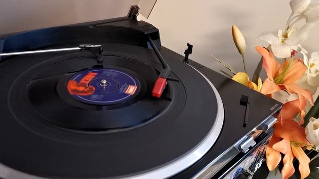 T-REX GROOVER ON 7-INCH VINYL смотреть онлайн