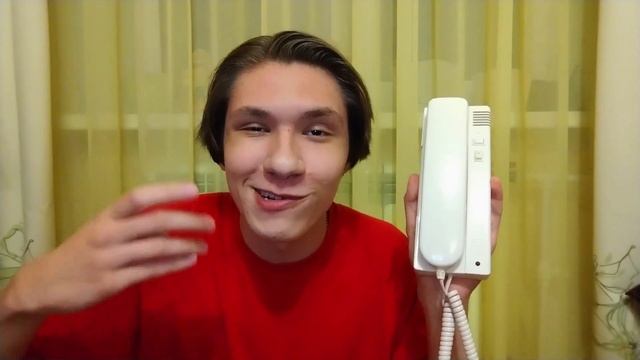 кушаю домофон в комнате