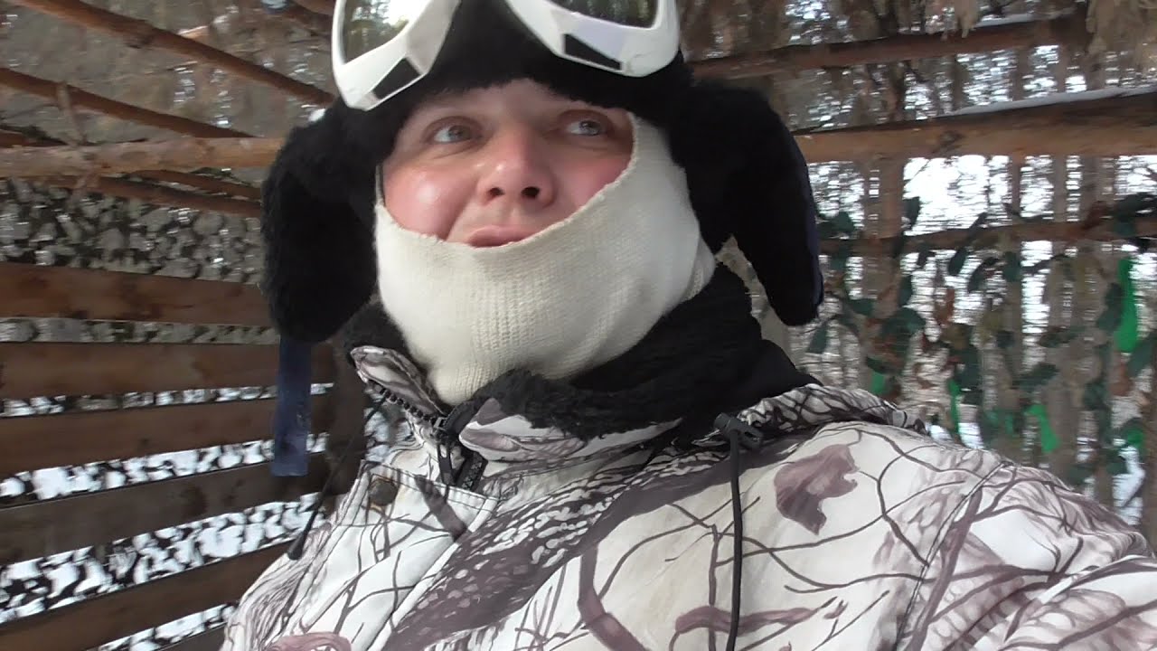 В лес на снегоходе тайга варяг 550 . Биотехнические мероприятия смотреть онлайн