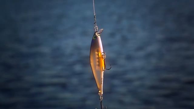 RAPALA SHADOW RAP SHAD SDRS09 смотреть онлайн
