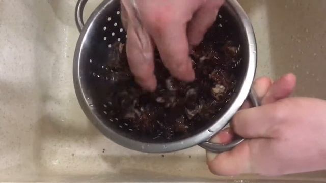 Строчки обыкновенные жаренные смотреть онлайн