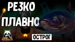 RF4 РЕЗКИЕ И ПЛАВНЫЕ УДИВИТЕЛЬНЫЕ ПОКЛЁВОЧКИ #рр4