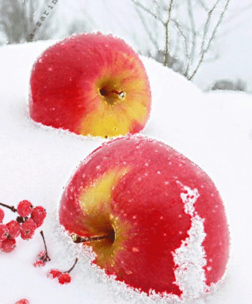 Яблоки на снегу... смотреть онлайн