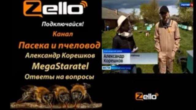 2 часть Александр Корешков (Старатель)На Zello рации Пасека и пчеловод смотреть онлайн