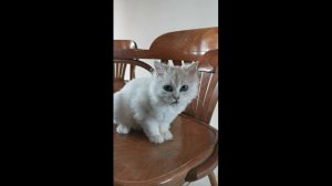 КАКАЯ ВКУСНАЯ ХУРМА!!!