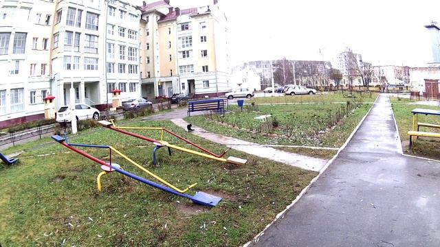 Кот ловит квадрокоптер, FUNny cat from SB69.PRO ))) смотреть онлайн