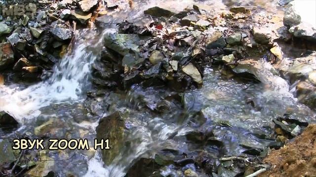 ZOOM H1 Тест на природе Дополнение к основному ОБЗОРУ АУДИО РЕКОРДЕРА смотреть онлайн