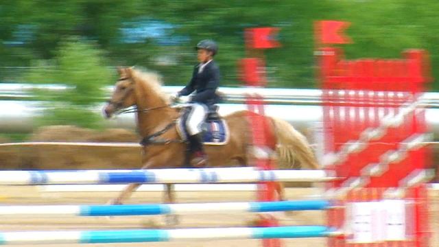 Победителю чемпионата ДВ по конному спорту достанется жеребенок будёновской породы смотреть онлайн