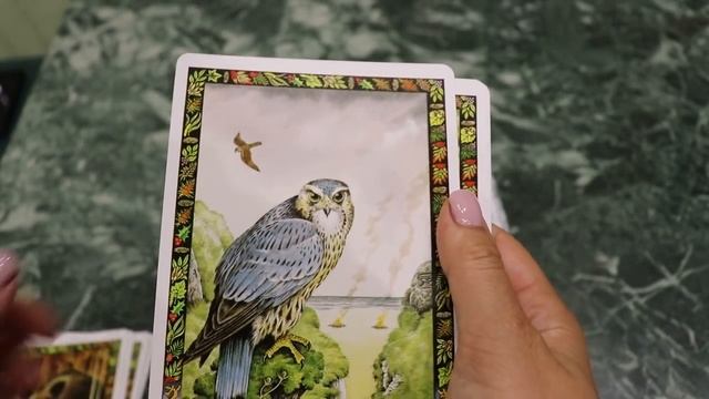 Druid animal oracle Philip~Stephanie Carr Gomm МОЙ ОБЗОР смотреть онлайн