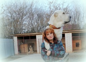 Видеоблог "Алабай".