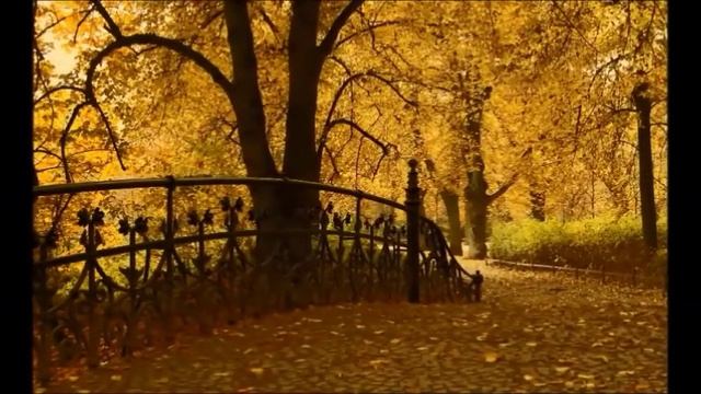 М. Шуфутинский 