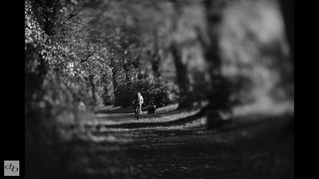 TTArtisan 50mm F1.4 Tilt Lens Fujifilm X Mount