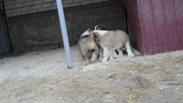 DSC_7660 смотреть онлайн