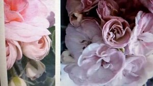 Сортовая пеларгония  Принцесса грейс - Princess Grese