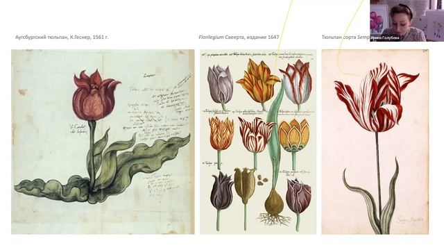 Онлайн-клуб от 31.03.2022. Тюльпаны смотреть онлайн